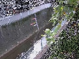 �h���t�߂̉摜