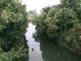 �C�V�������H�t�߂̉摜