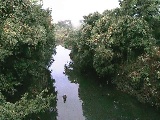 �C�V�������H�t�߂̉摜