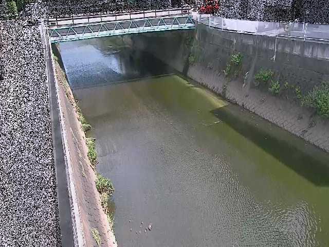 矢上川 中吉橋付近のカメラ画像
