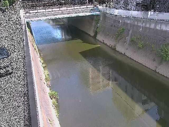 矢上川 中吉橋付近のカメラ画像