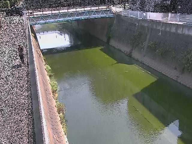 矢上川 中吉橋付近のカメラ画像