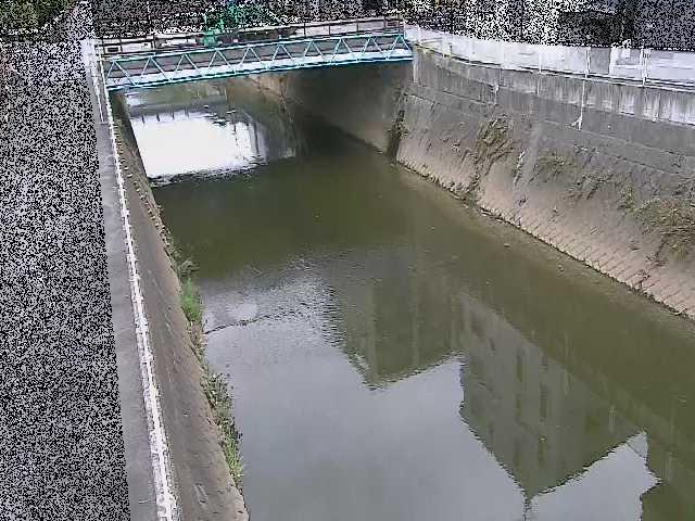 矢上川 中吉橋付近のカメラ画像