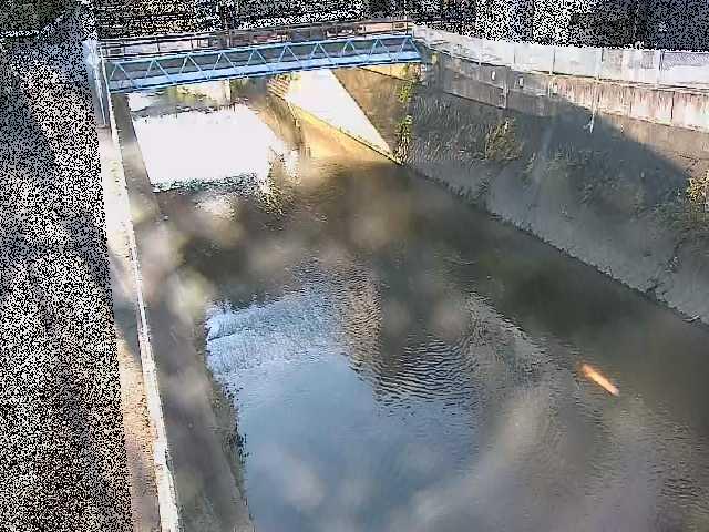 矢上川 中吉橋付近のカメラ画像