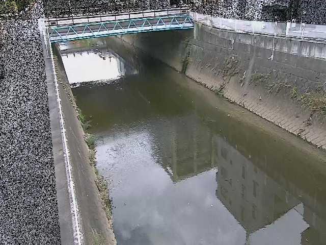 矢上川 中吉橋付近のカメラ画像