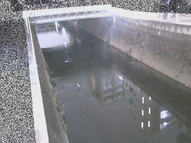 中吉橋付近のカメラ画像