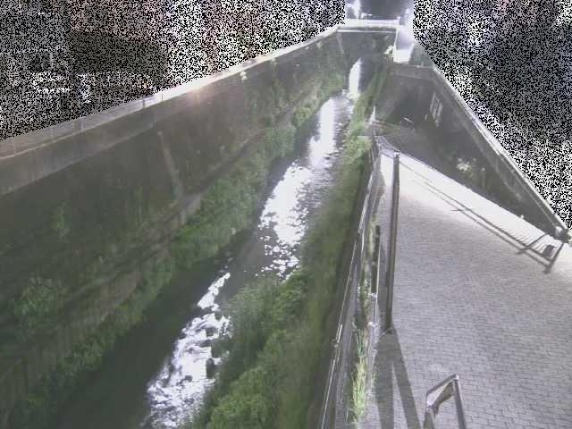 天宿橋付近のカメラ画像