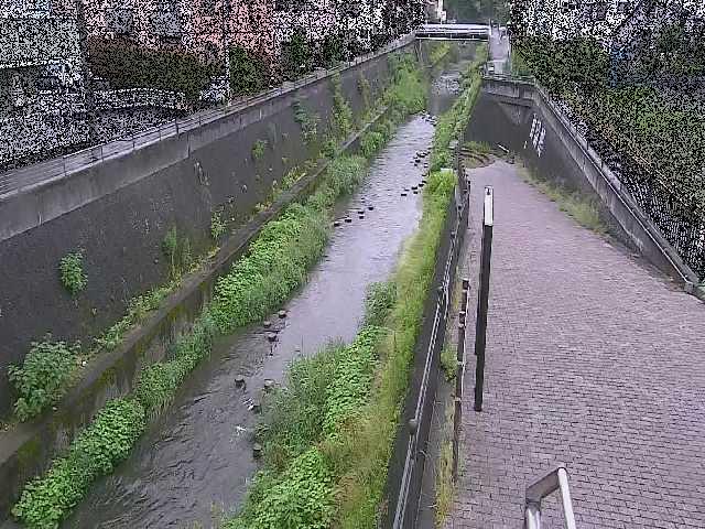 天宿橋付近のカメラ画像