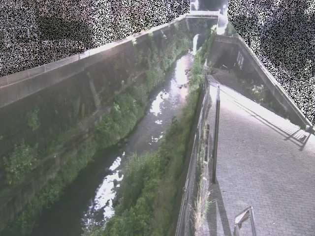 三沢川 天宿橋付近のカメラ画像