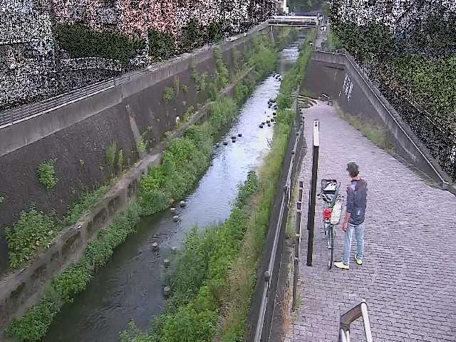 三沢川 天宿橋付近のカメラ画像