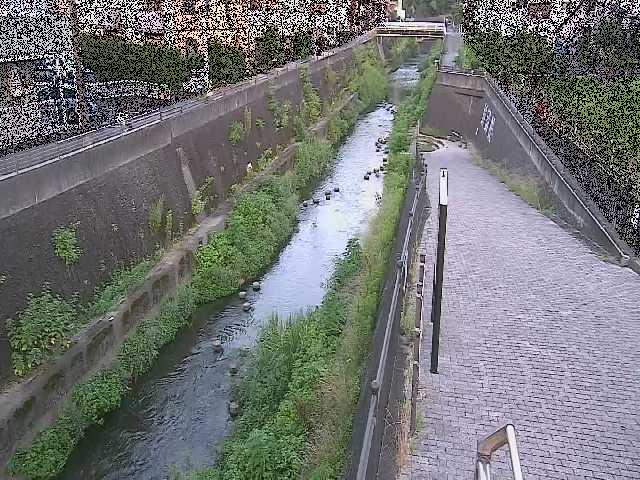 天宿橋付近のカメラ画像