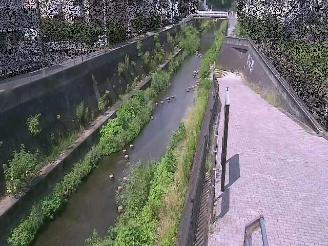 天宿橋付近のカメラ画像