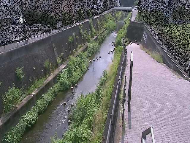 三沢川 天宿橋付近のカメラ画像