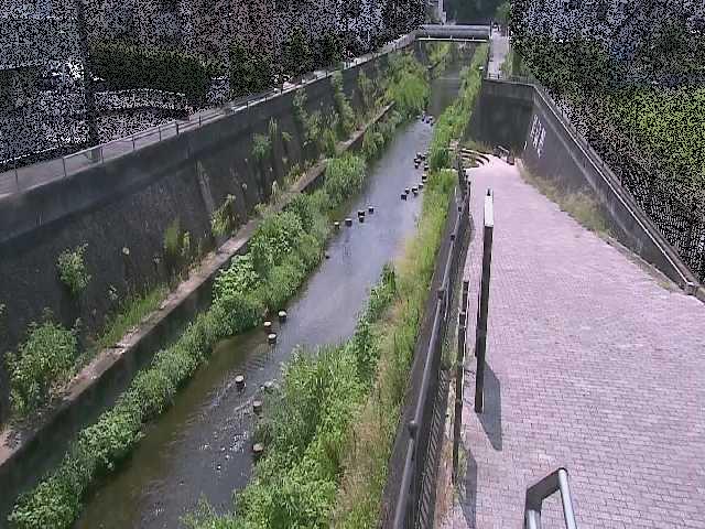 三沢川 天宿橋付近のカメラ画像