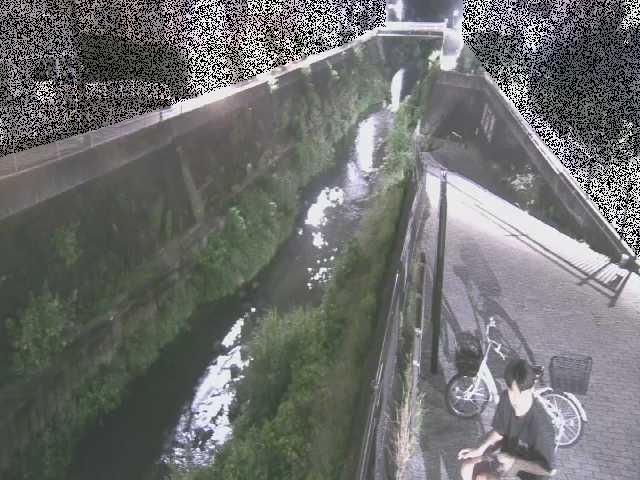 天宿橋付近のカメラ画像