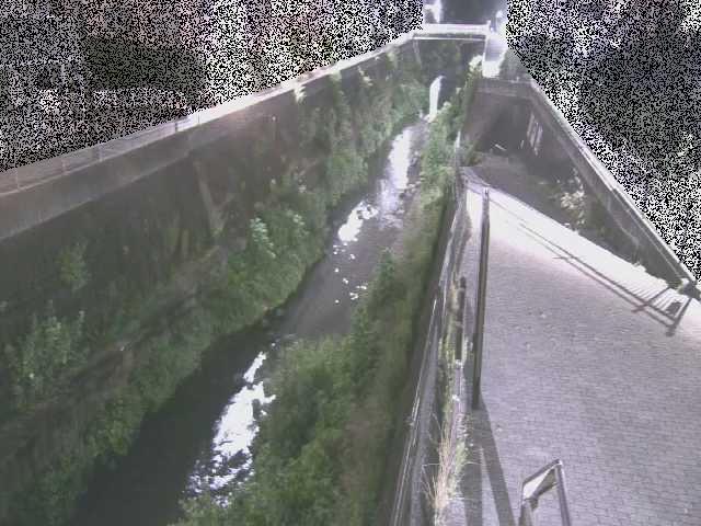 天宿橋付近のカメラ画像
