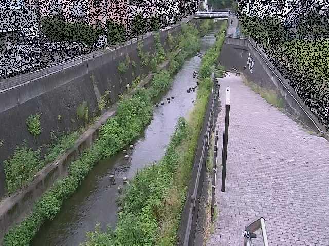 天宿橋付近のカメラ画像
