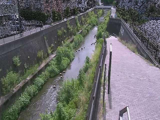 三沢川 天宿橋付近のカメラ画像