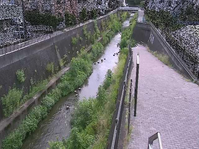 天宿橋付近のカメラ画像