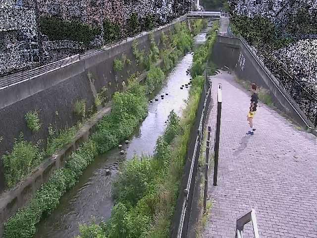 天宿橋付近のカメラ画像