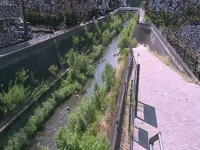 三沢川 天宿橋付近のカメラ画像