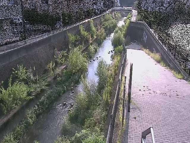 三沢川 天宿橋付近のカメラ画像