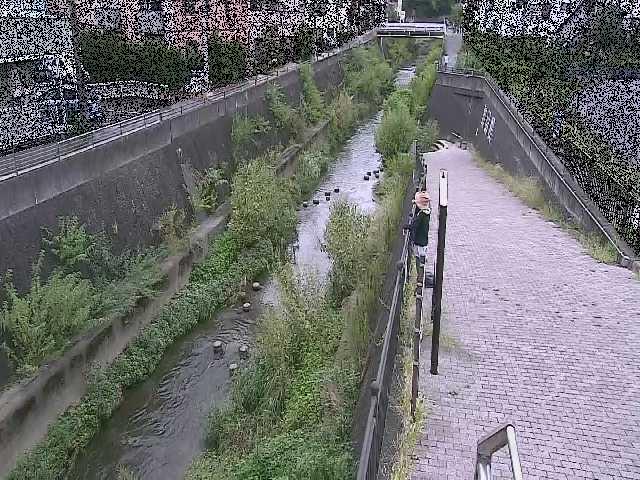 天宿橋付近のカメラ画像