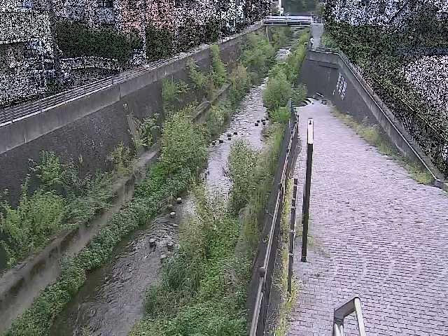 天宿橋付近のカメラ画像
