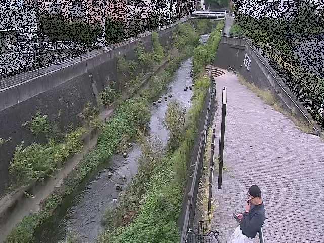 三沢川 天宿橋付近のカメラ画像