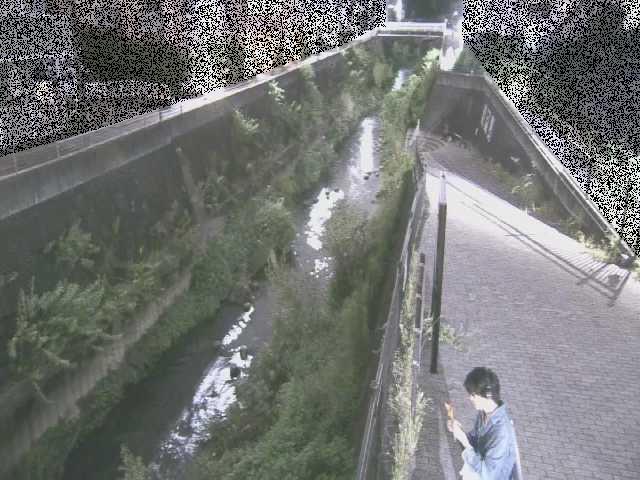 天宿橋付近のカメラ画像