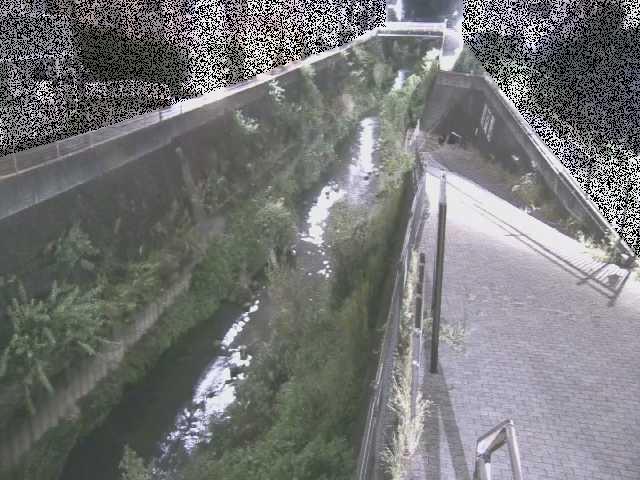 三沢川 天宿橋付近のカメラ画像