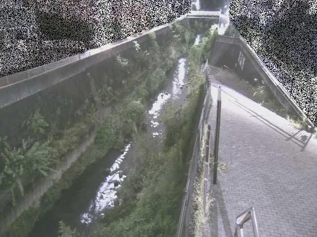 三沢川 天宿橋付近のカメラ画像
