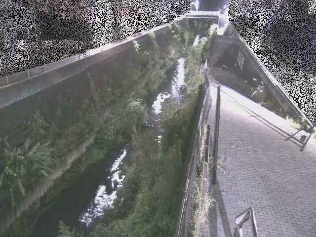 天宿橋付近のカメラ画像