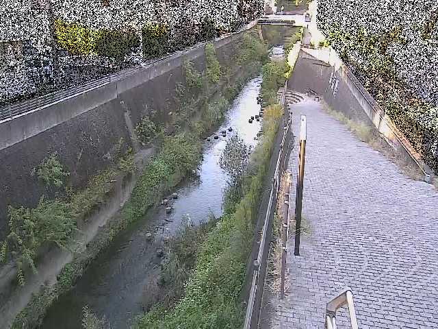 三沢川 天宿橋付近のカメラ画像