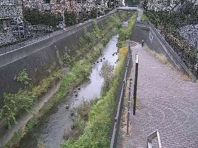 三沢川 天宿橋付近のカメラ画像