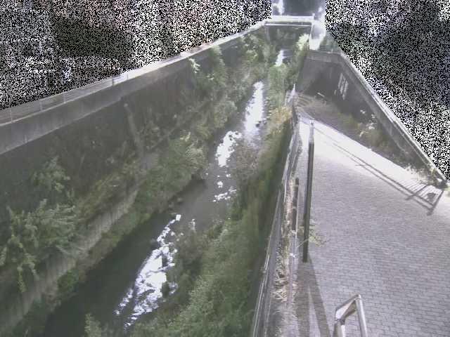 天宿橋付近のカメラ画像