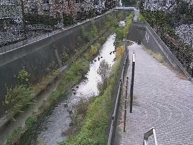 三沢川 天宿橋付近のカメラ画像