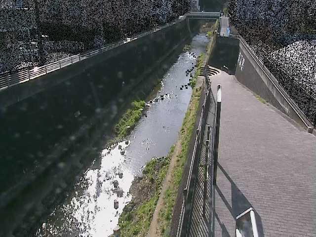 天宿橋付近のカメラ画像