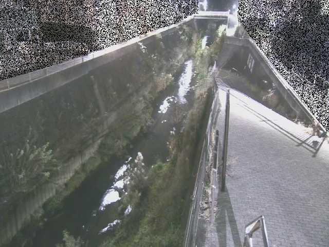 三沢川 天宿橋付近のカメラ画像