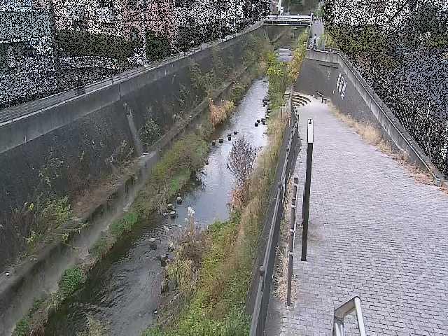 天宿橋付近のカメラ画像