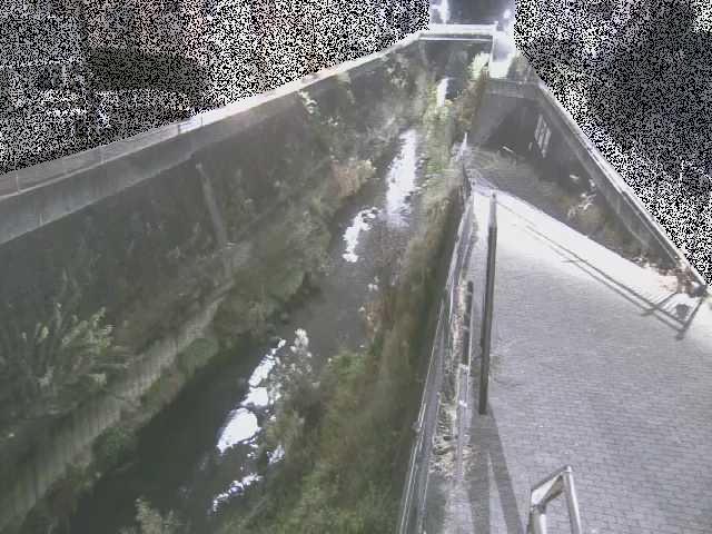 天宿橋付近のカメラ画像