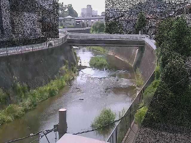 鶴見川 岡上橋付近のカメラ画像