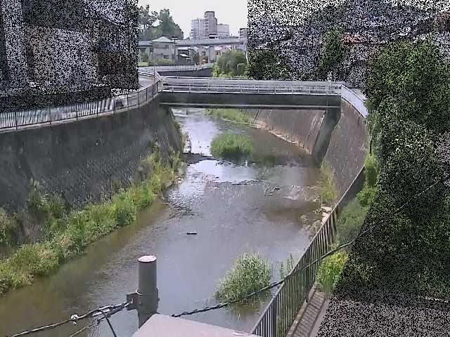 鶴見川 岡上橋付近のカメラ画像