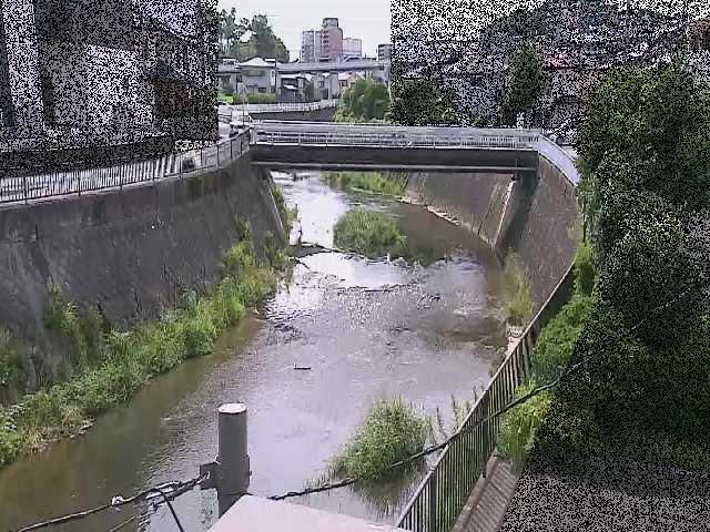 鶴見川 岡上橋付近のカメラ画像