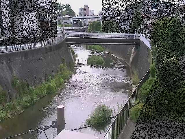 岡上橋付近のカメラ画像