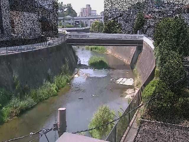 鶴見川 岡上橋付近のカメラ画像