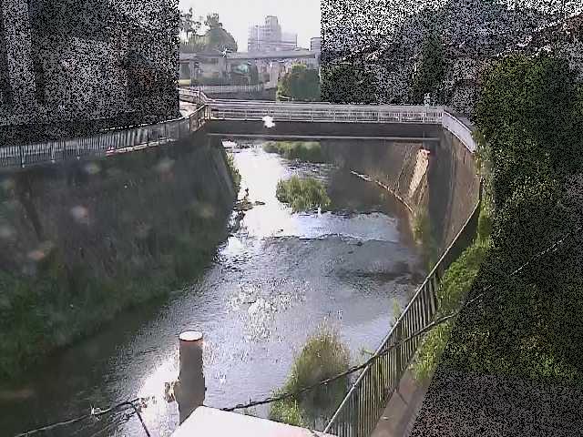 鶴見川 岡上橋付近のカメラ画像