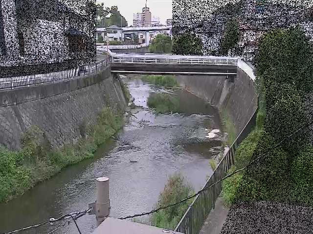 鶴見川 岡上橋付近のカメラ画像