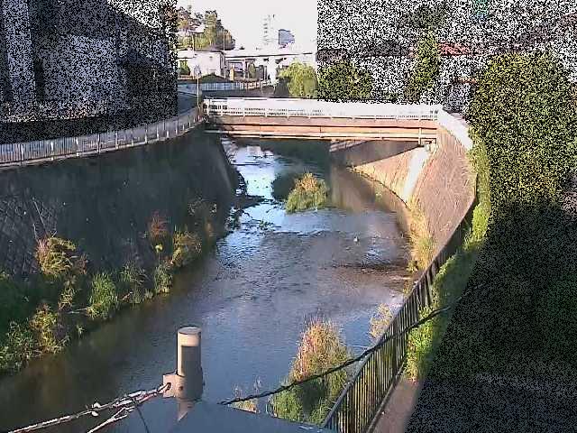鶴見川 岡上橋付近のカメラ画像
