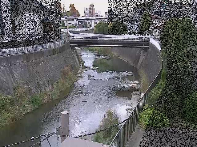 鶴見川 岡上橋付近のカメラ画像